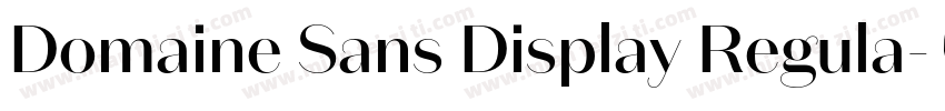 Domaine Sans Display Regula字体转换
